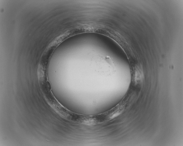 X0000081430456200701261827