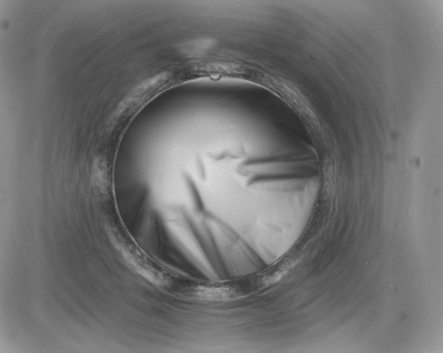 X0000081430457200701261827