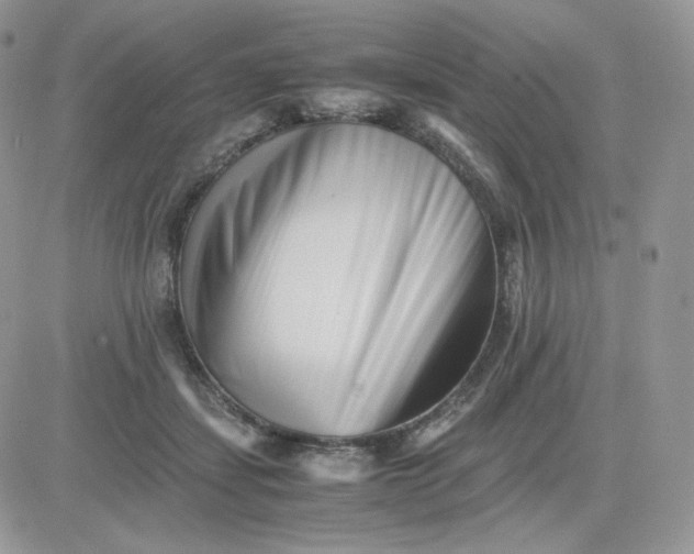 X0000081430459200701261827