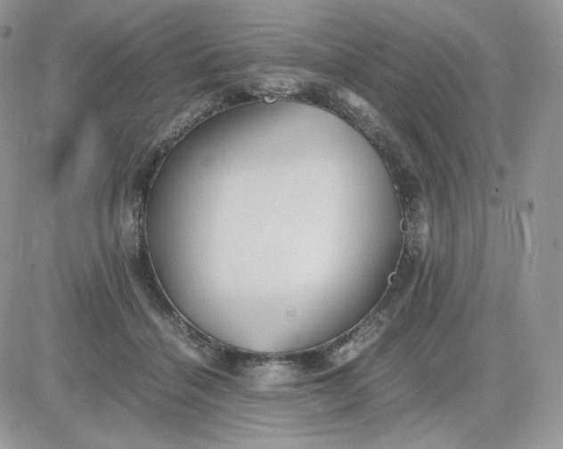 X0000081430460200701261827