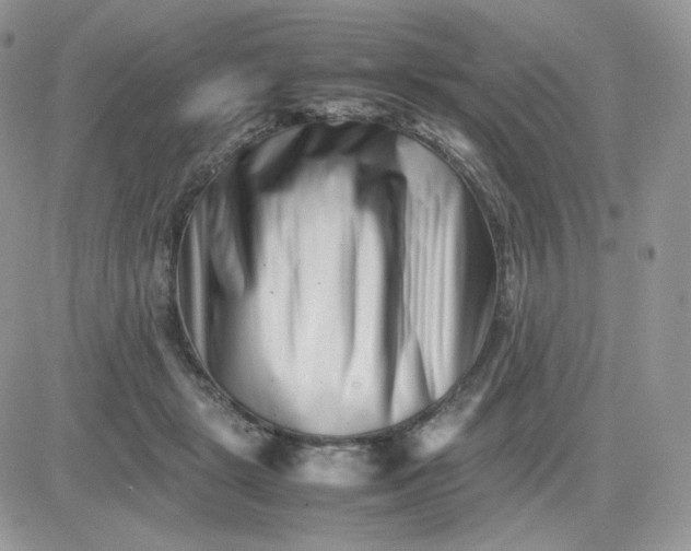 X0000081430461200701261827