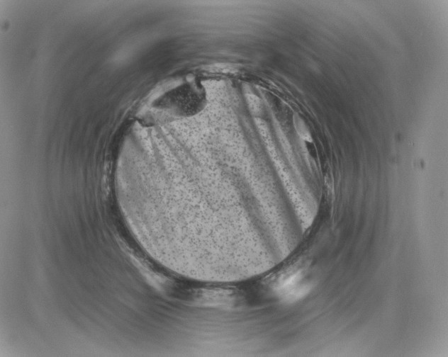 X0000081430462200701261827