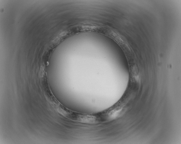 X0000081430463200701261827