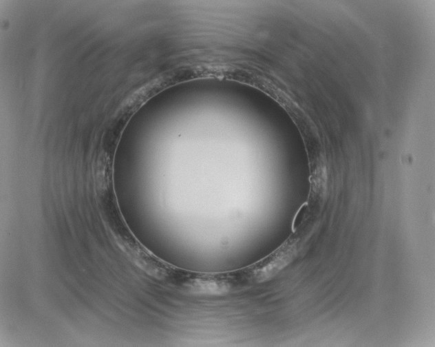 X0000081430464200701261827