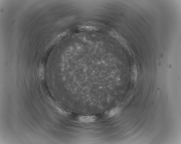 X0000081430465200701261827