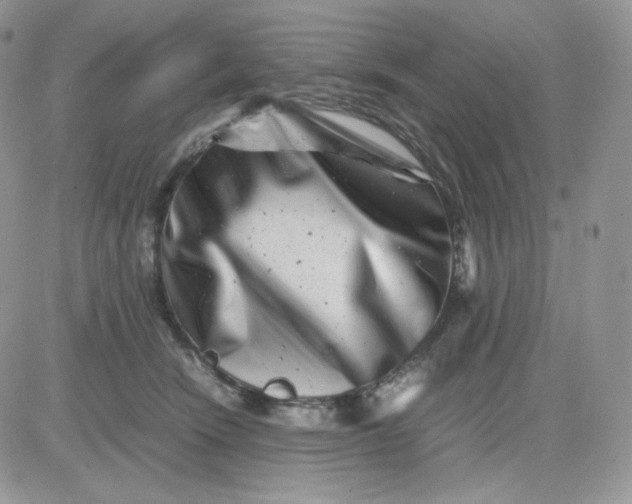 X0000081430466200701261827