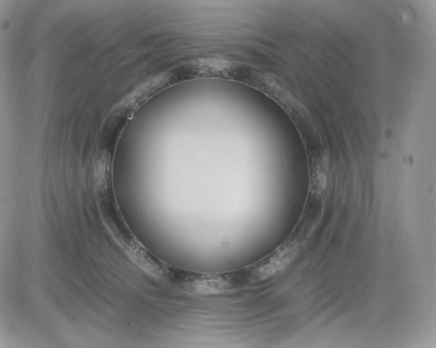 X0000081430468200701261827