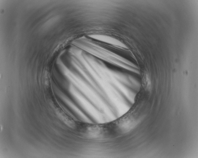 X0000081430470200701261827