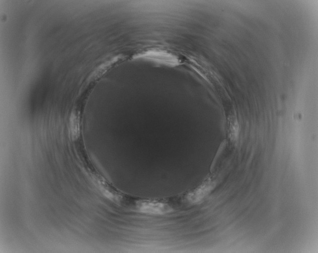 X0000081430471200701261827