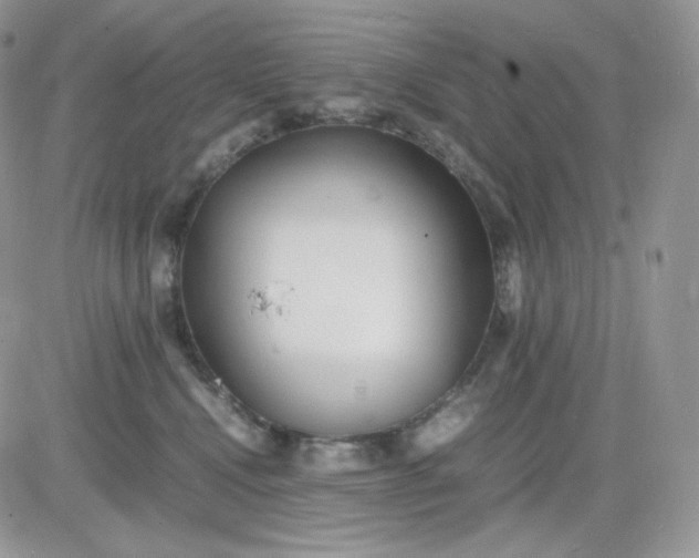 X0000081430472200701261827