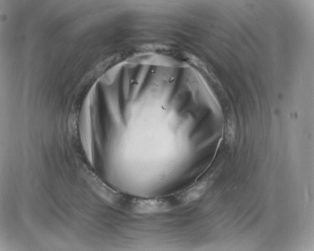 X0000081430473200701261827