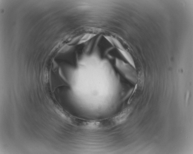 X0000081430474200701261827