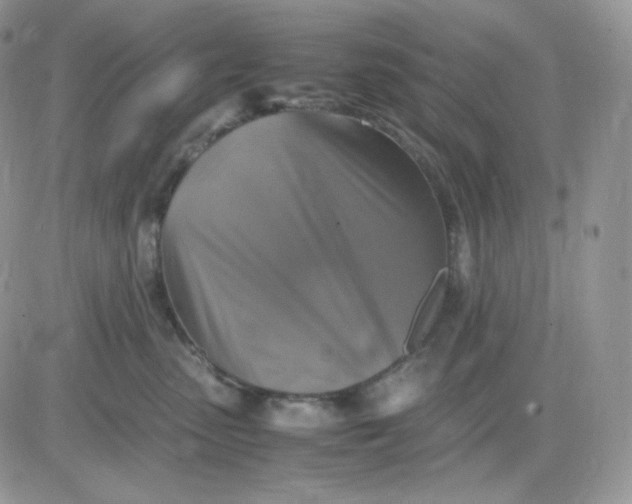 X0000081430475200701261827