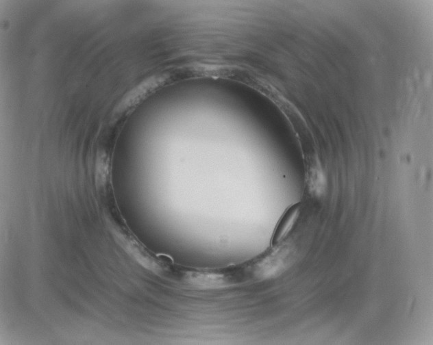 X0000081430476200701261827