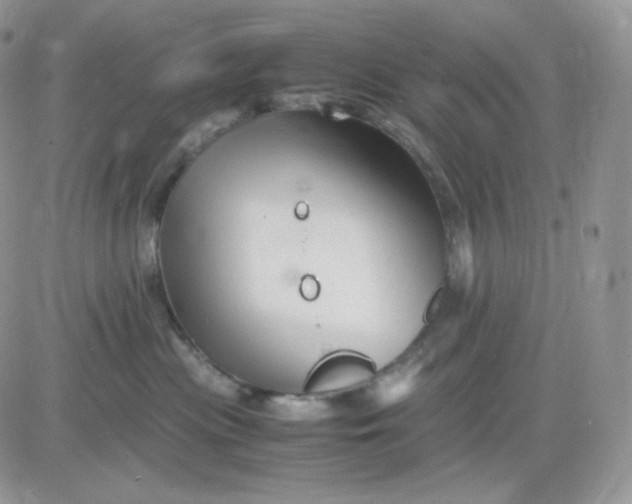 X0000081430477200701261827