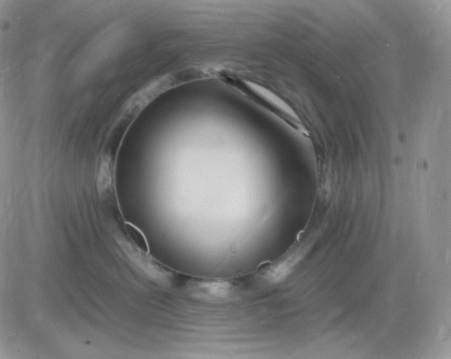 X0000081430478200701261827