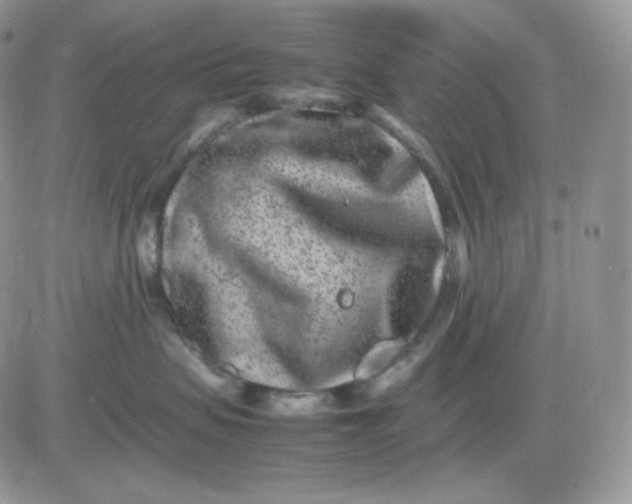 X0000081430479200701261827