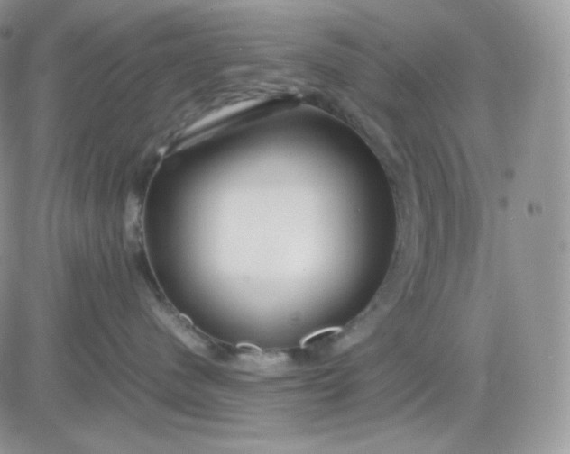 X0000081430480200701261827