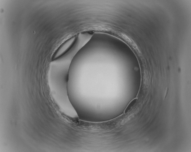 X0000081430481200701261826