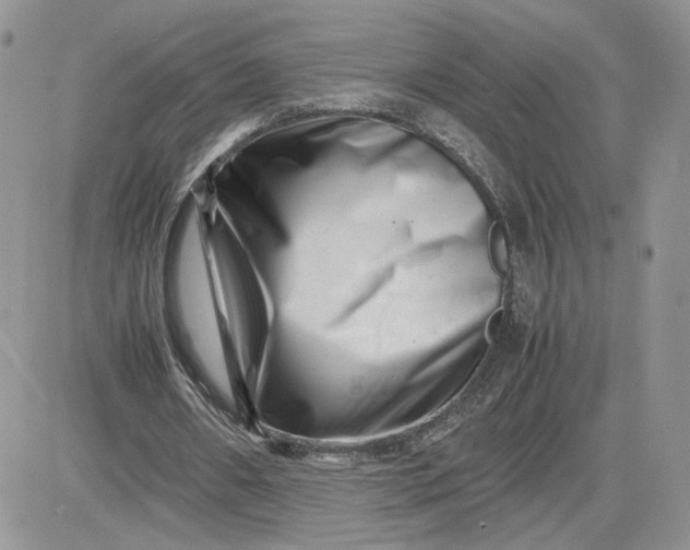 X0000081430482200701261826