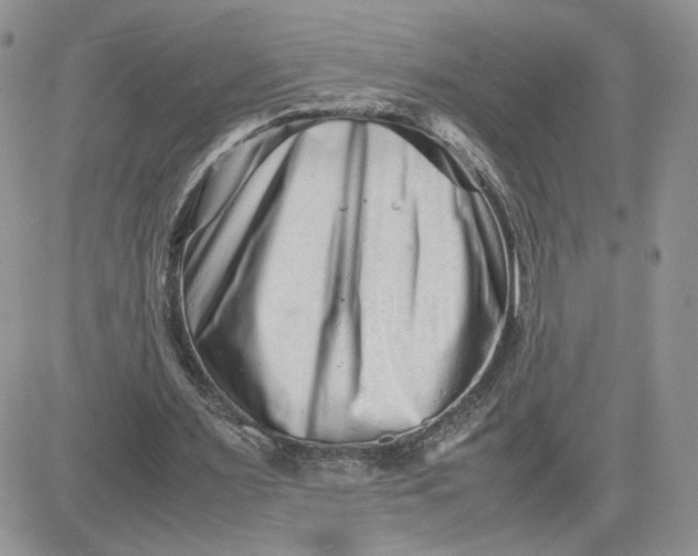 X0000081430483200701261826