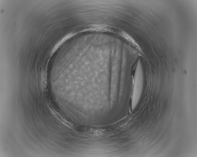 X0000081430484200701261826