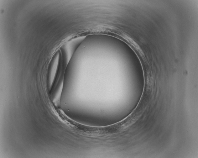 X0000081430485200701261826