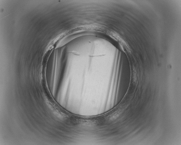 X0000081430486200701261826