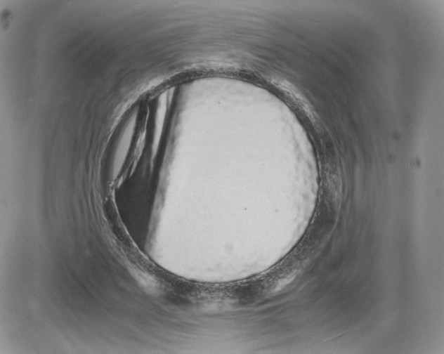 X0000081430487200701261826