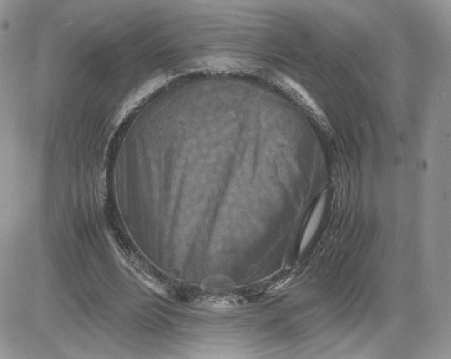 X0000081430488200701261826