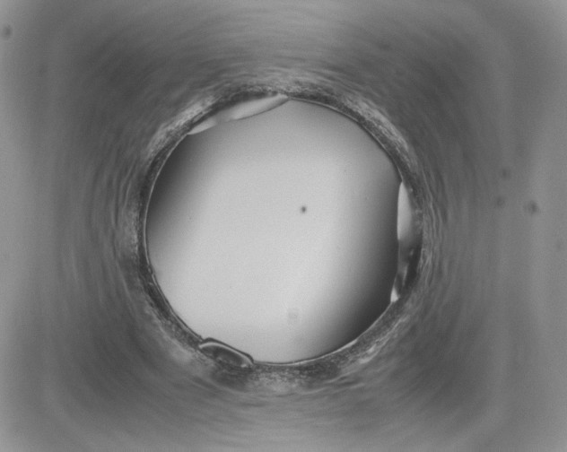 X0000081430489200701261826