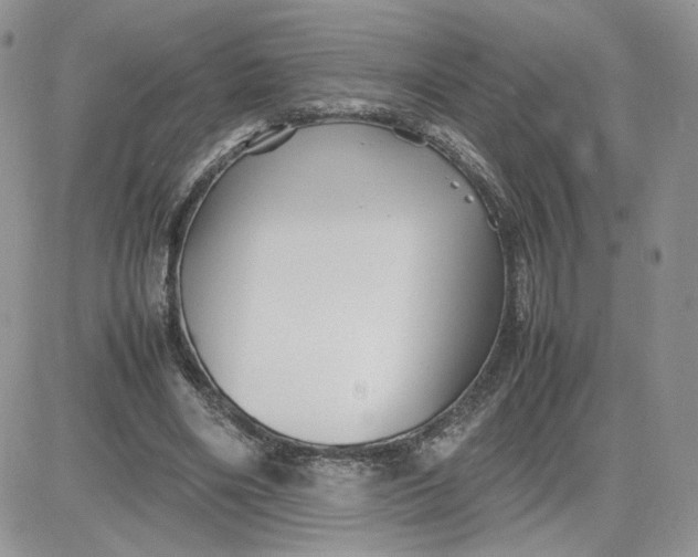 X0000081430490200701261826