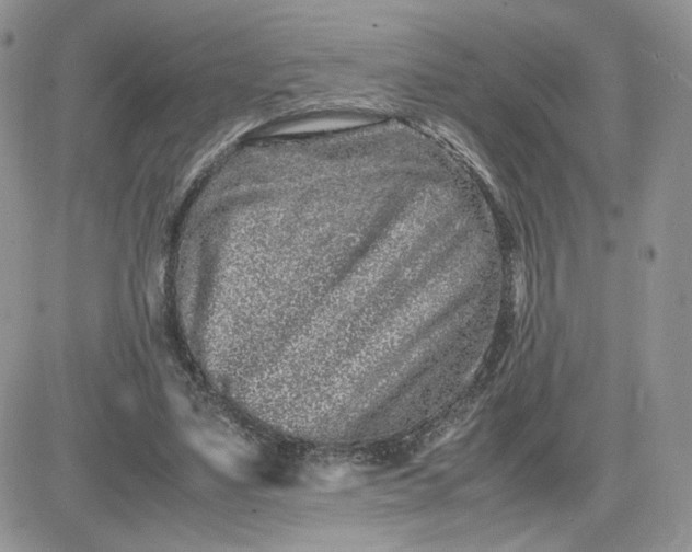 X0000081430491200701261826