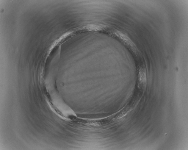 X0000081430492200701261826