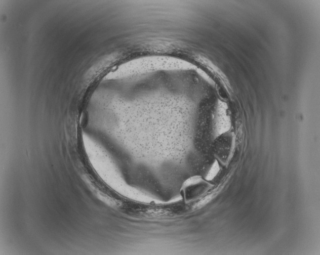 X0000081430493200701261826