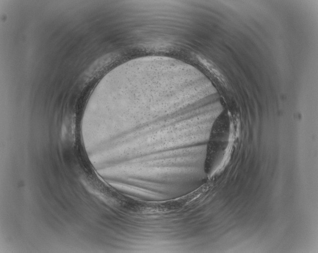 X0000081430494200701261826