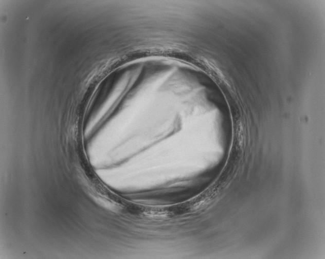 X0000081430495200701261826