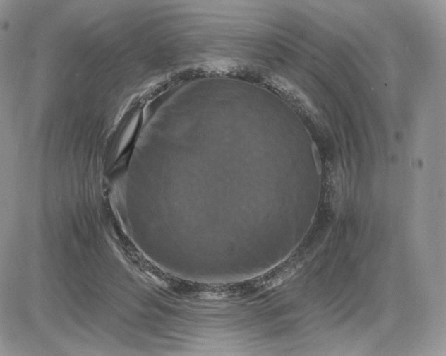 X0000081430496200701261826