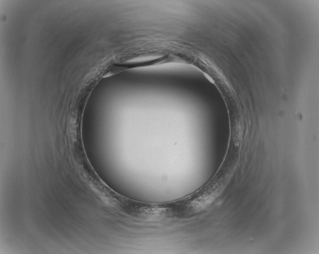 X0000081430497200701261826