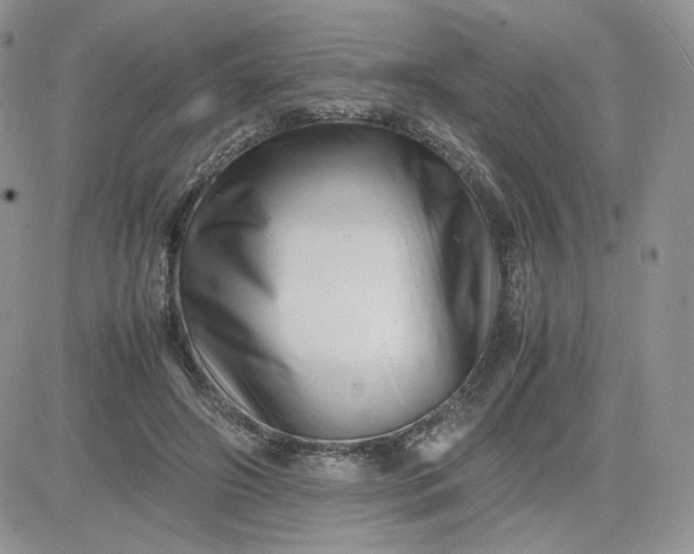 X0000081430498200701261826