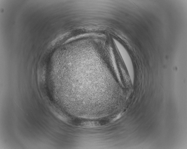 X0000081430499200701261826