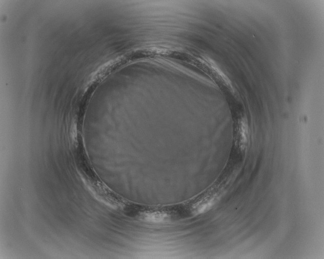 X0000081430500200701261826