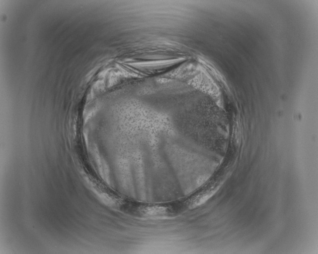 X0000081430501200701261826