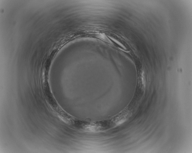 X0000081430504200701261826