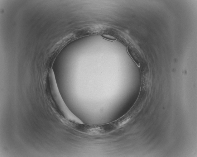 X0000081430505200701261826