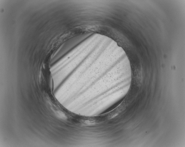 X0000081430506200701261826