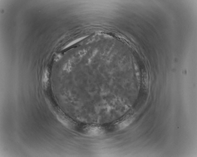 X0000081430507200701261826