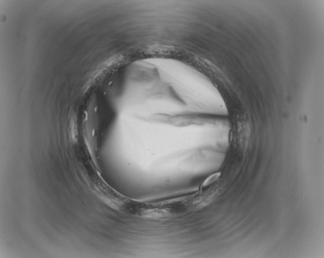 X0000081430508200701261826