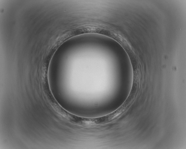 X0000081430509200701261826