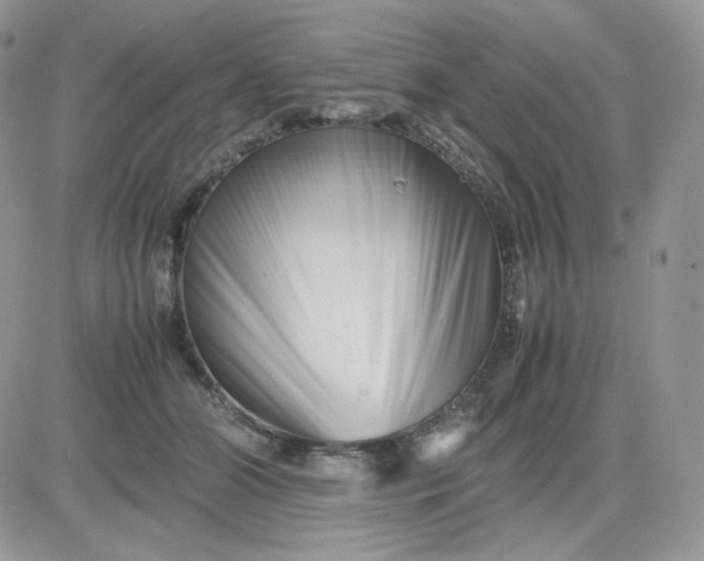 X0000081430510200701261826